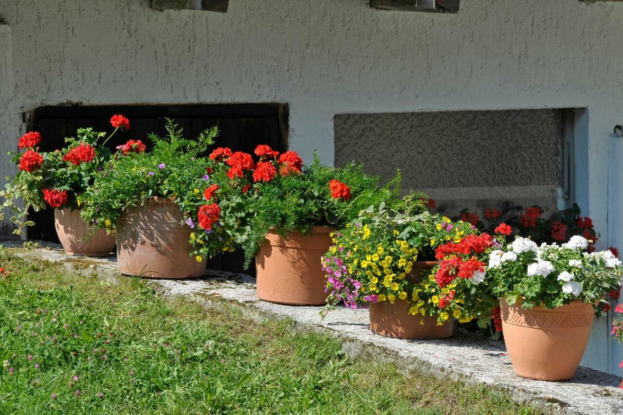 Kerschbaumerhof Schladming Extérieur photo